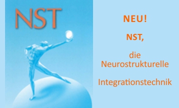 nst modul aktuell